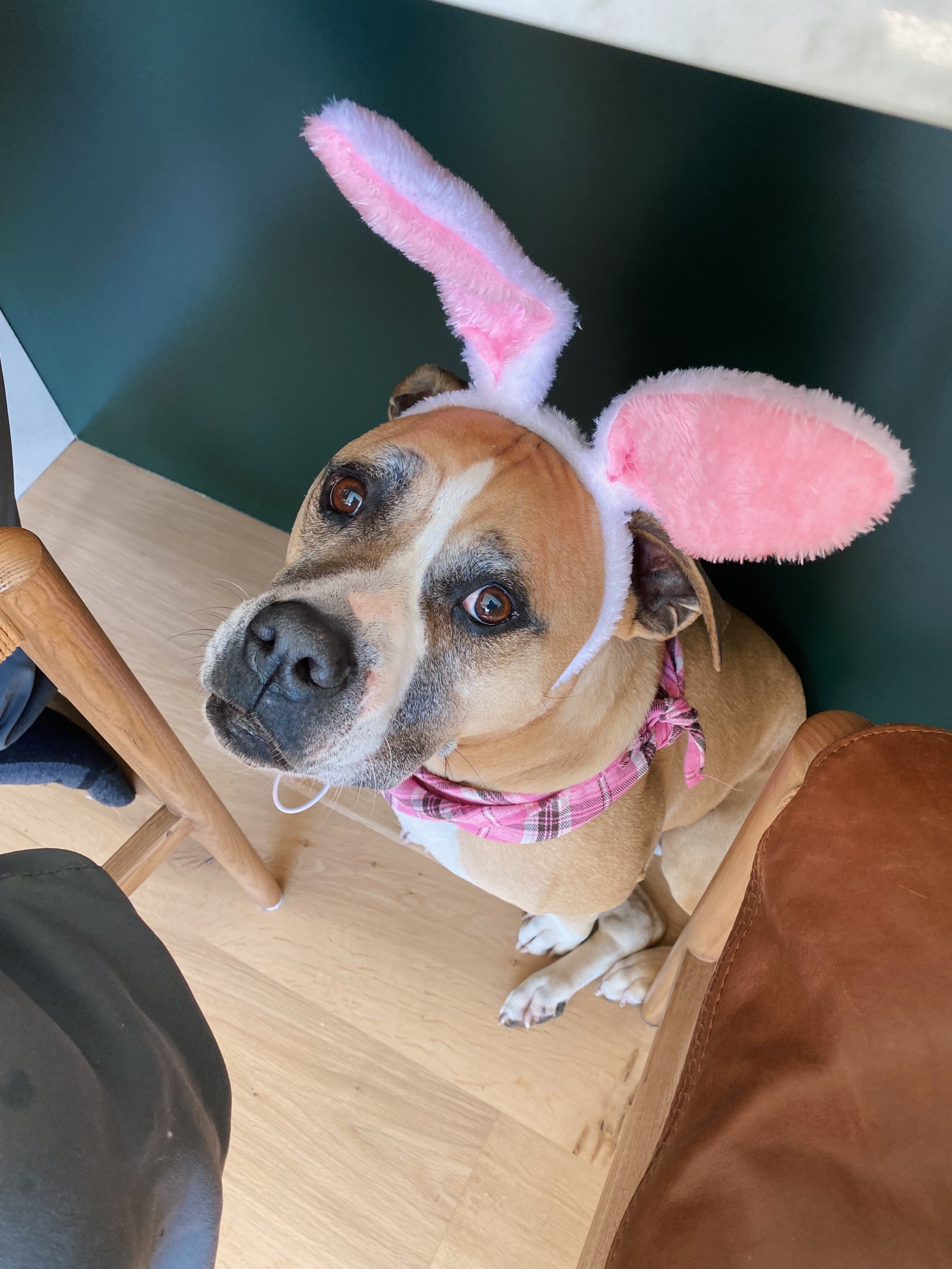 Easter 2025