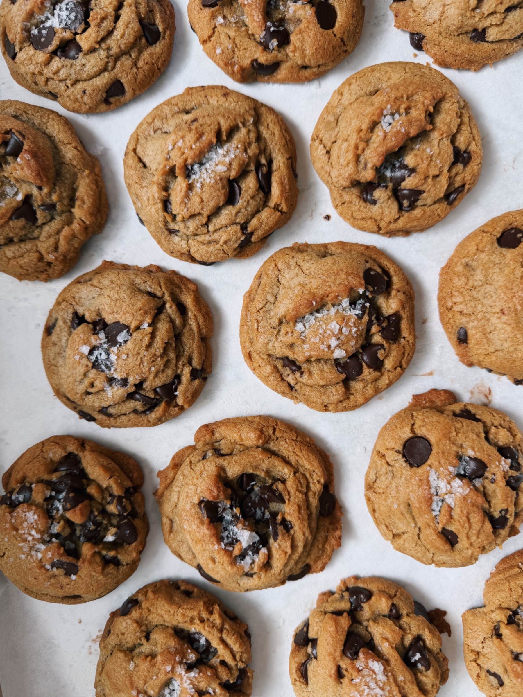 Chewy Chocolate Chip Cookies